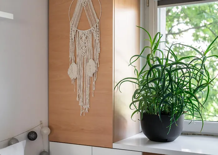 Nature&green By Renters *