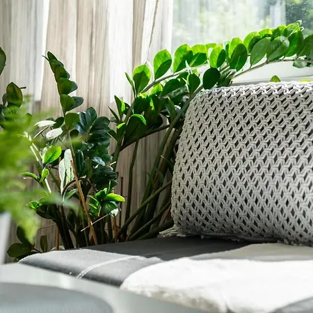 Nature & By Renters شقة *