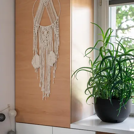 Nature & By Renters *