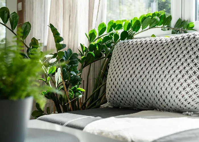 Nature&green By Renters Apartament *